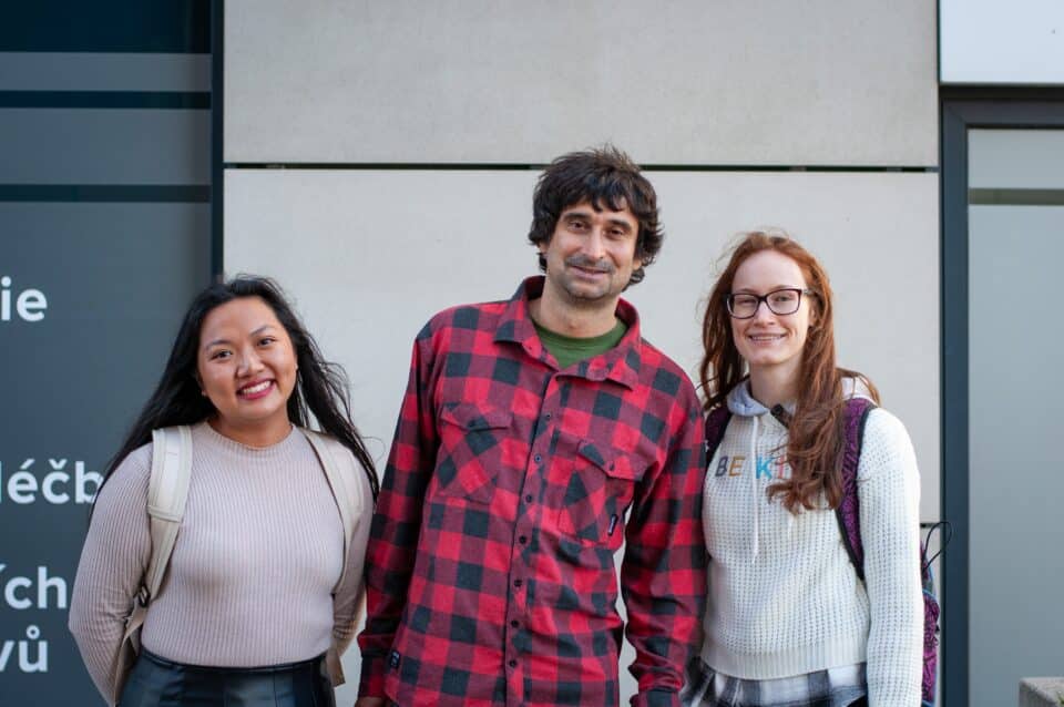 DofE online mentoring